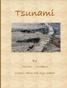 Tsunami