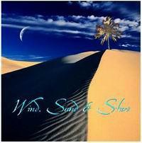 วรรณกรรมแปล แผ่นดินของเรา wind sand and stars-แซงเตก ซูเปรี