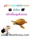 รูปสัตว์แปลกน่าพิศวง