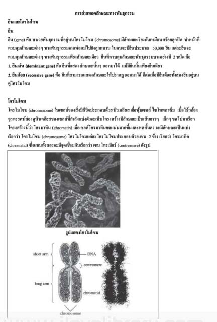 การถ่ายทอดลักษณะทางพันธุกรรม