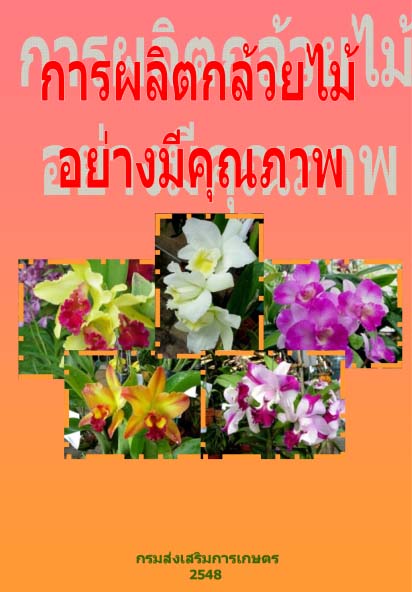 การผลิตกล้วยไม้อย่างมีคุณภาพ