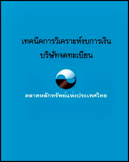 เทคนิคการวิเคราะห์งบการเงินบริษัทจดทะเบียน