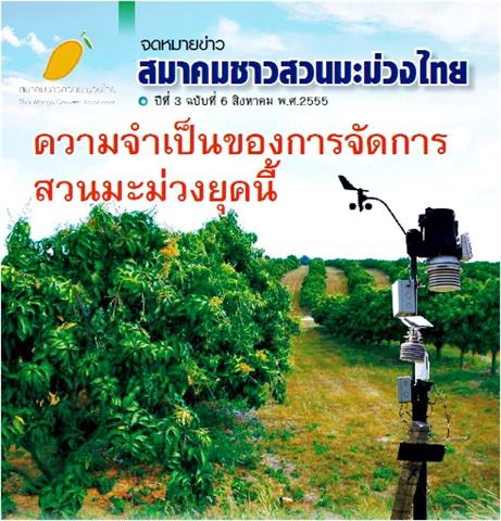 วารสาร จดหมายข่าวสมาคมชาวสวนมะม่วงไทย ปีที่ 3 ฉบับที่ 6 สิงหาคม 2555