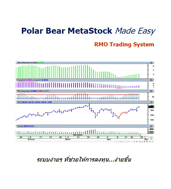 Polar Bear MetaStock Made Easy ระบบง่ายๆ ที่ช่วยให้การลงทุนง่ายขึ้น