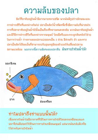 ความลับของปลา