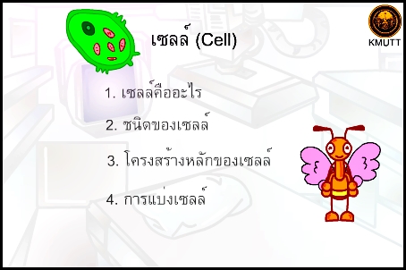 เซลล์