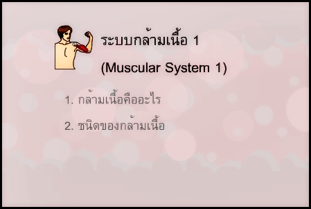 ระบบกล้ามเนื้อ 1