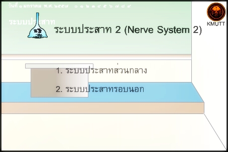 ระบบประสาท 2