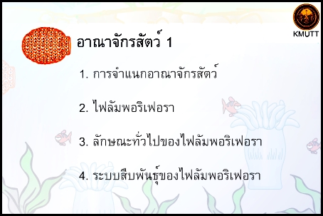 อาณาจักรสัตว์ 1