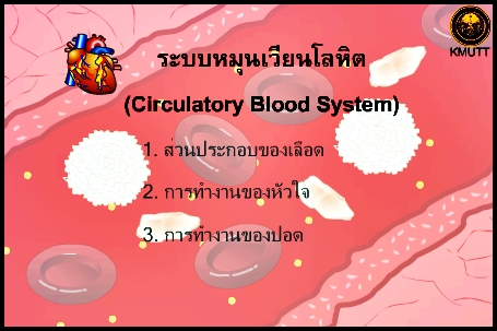 ระบบหมุนเวียนโลหิต