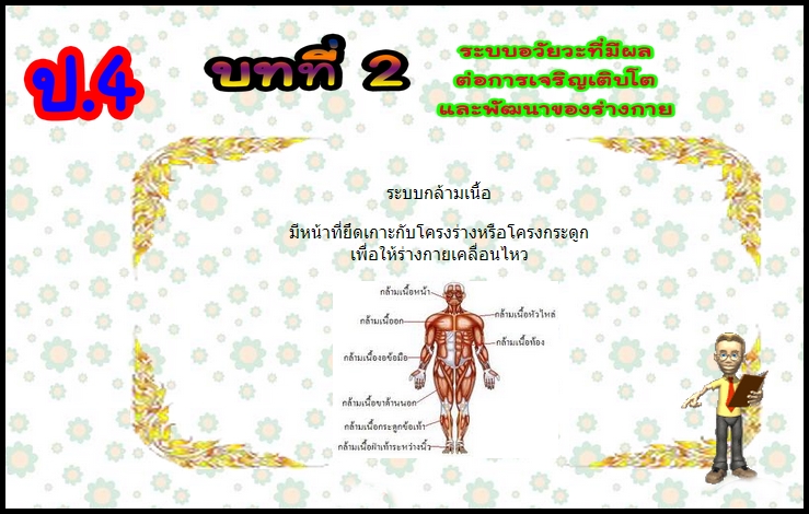 บทที่ 2 ระบบอวัยวะที่มีผลต่อการเจริญเติบโตและพัฒนาการของร่างกาย (ป.4)