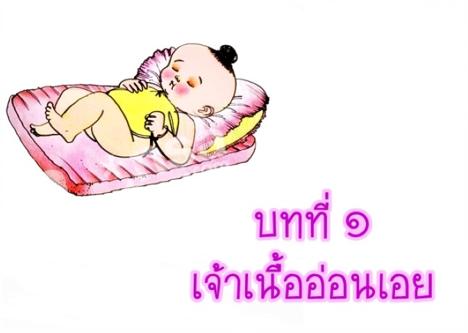 บทที่ ๑ เจ้าเนื้ออ่อนเอย