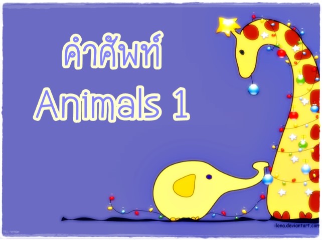 คำศัพท์: Animals 1