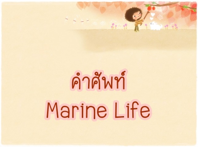 คำศัพท์: Marine Life