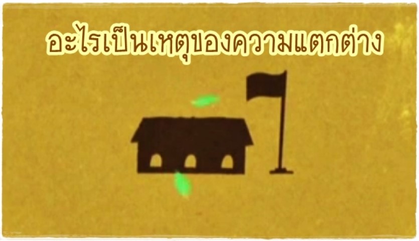 อะไรเป็นเหตุของความแตกต่าง - ThaiPBS