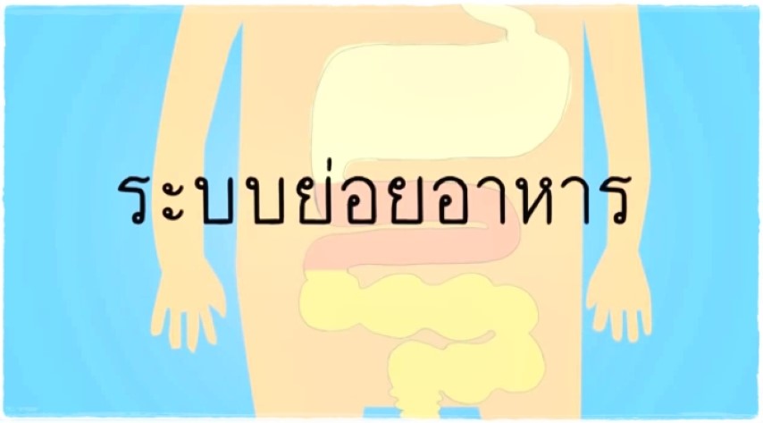 Animation ระบบย่อยอาหาร