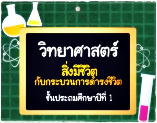 วิทยาศาสตร์ ป.1 เรื่อง สิ่งมีชีวิตกับกระบวนการดำรงชีวิต