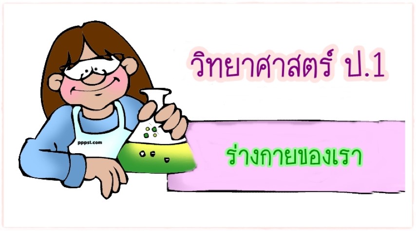 วิทยาศาสตร์ ป.1 เรื่อง ร่างกายของเรา