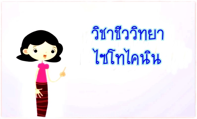 วิชาชีววิทยา - ไซโทไคนิน