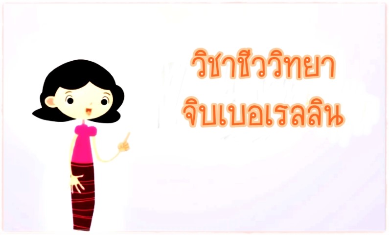 วิชาชีววิทยา - จิบเบอเรลลิน