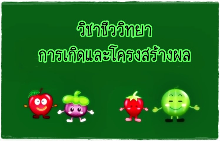 วิชาชีววิทยา - การเกิดและโครงสร้างผล