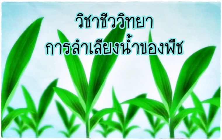 วิชาชีววิทยา - การลำเลียงน้ำของพืช