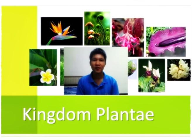 วิชาชีววิทยา - พืชดอก Angiosperms