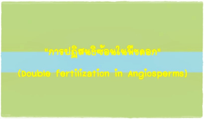 วิชาชีววิทยา - การปฏิสนธิซ้อนในพืชดอก