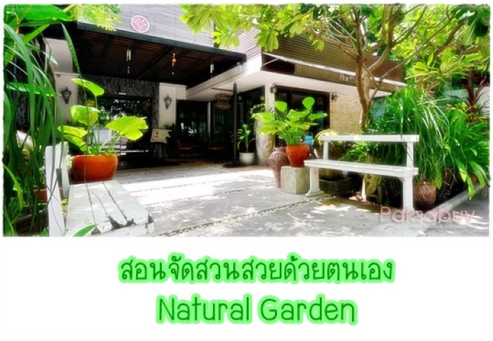 การจัดสวน - สอนการจัดสวนสวยด้วยตนเอง สวนธรรมชาติ