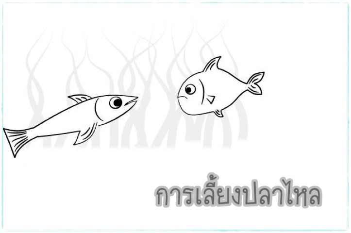 การเลี้ยงสัตว์ - การเลี้ยงปลาไหล