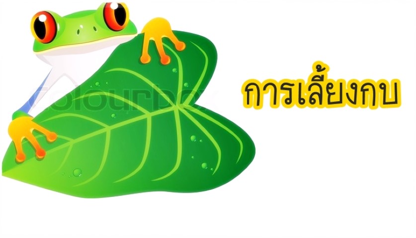 การเลี้ยงสัตว์ - การเลี้ยงกบ