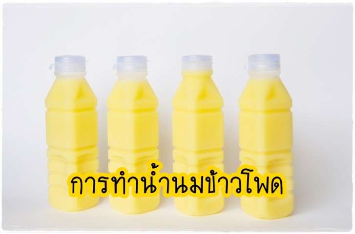 การแปรรูปอาหาร - การทำน้ำนมข้าวโพด