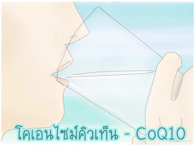 โภชนาการ - โคเอนไซม์คิวเท็น (CoQ10)