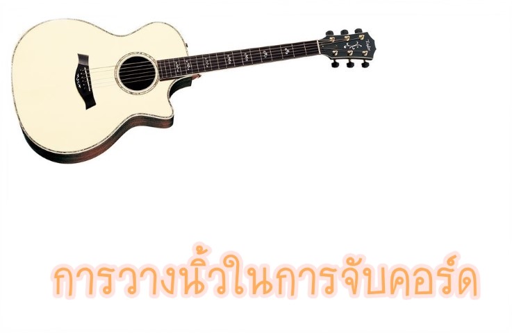 ดนตรีสากล - กีตาร์ - การวางนิ้วในการจับคอร์ด