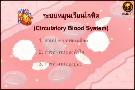 ระบบหมุนเวียนเลือด