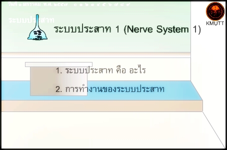 ระบบประสาท 1