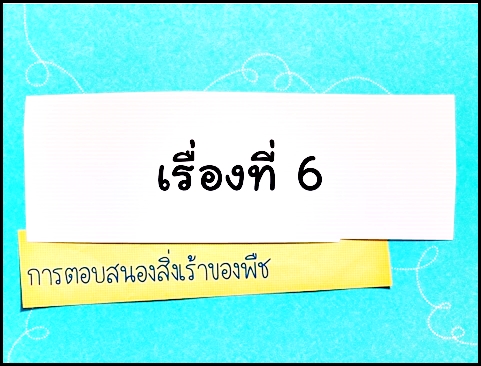 การตอบสนองสิ่งเร้าของพืช