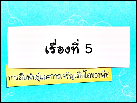 การสืบพันธุ์และการเจริญเติบโตของพืช